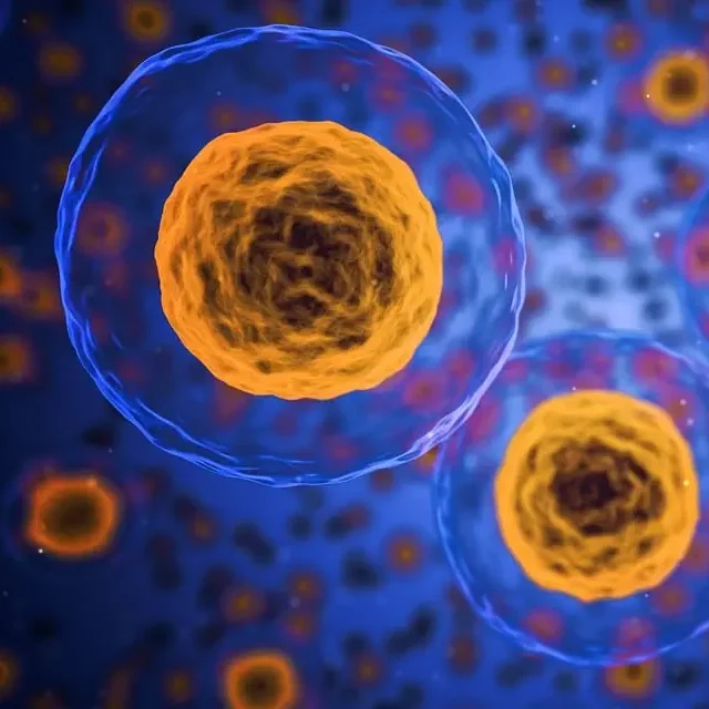 cells 1
